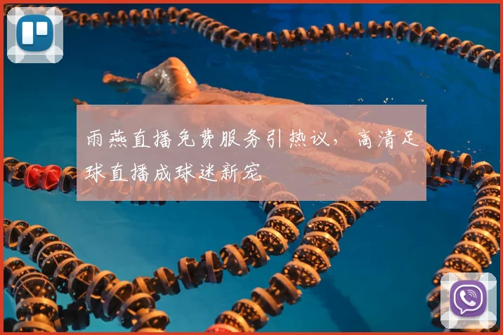 雨燕直播免费服务引热议，高清足球直播成球迷新宠