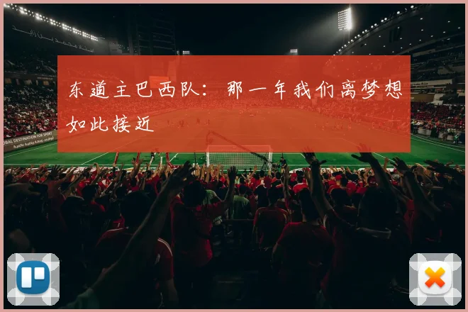 东道主巴西队：那一年我们离梦想如此接近