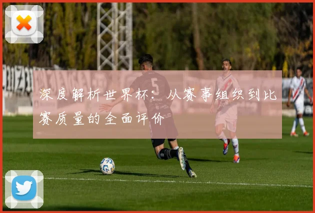 深度解析世界杯:从赛事组织到比赛质量的全面评价