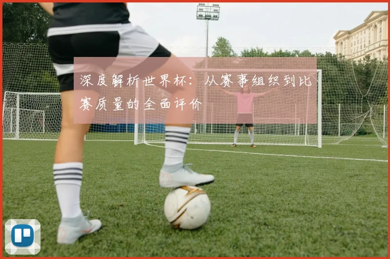深度解析世界杯：从赛事组织到比赛质量的全面评价