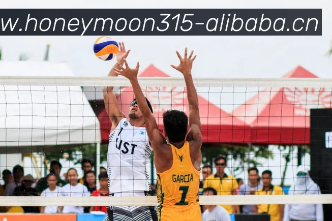 九游j9官网入口登录平台生态图