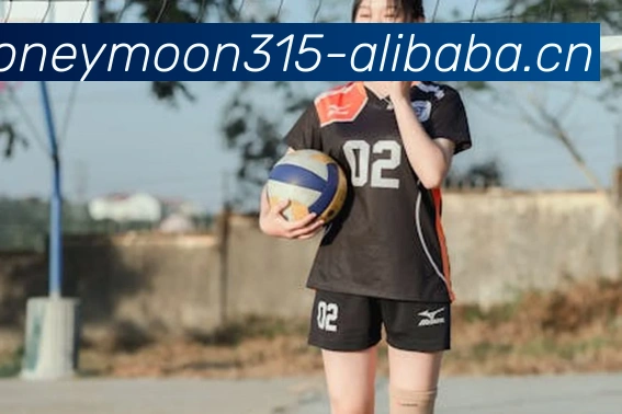 九游j9官网入口登录全站App